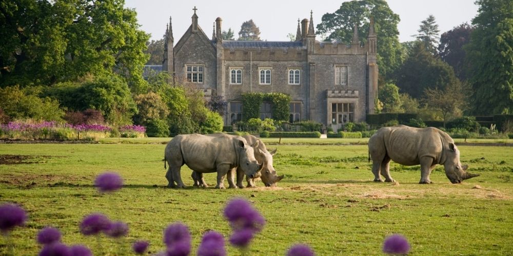 7-best-spots-in-The-Cotswolds-to-see-wildlife.jpg#asset:5550