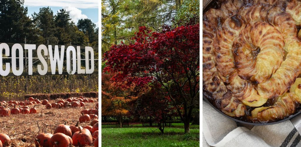 Autumn-to-do.jpg