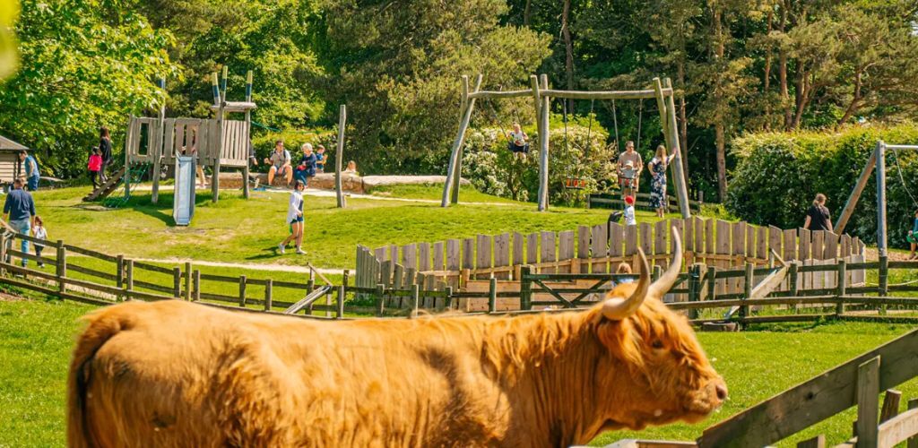 Cotswold-Farm-Park.jpg