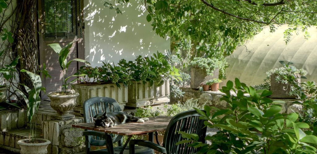 Garden,jpg