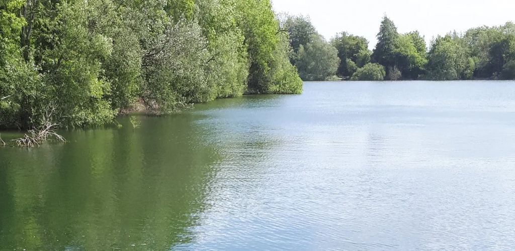 Neigh-Bridge_Lake.jpg