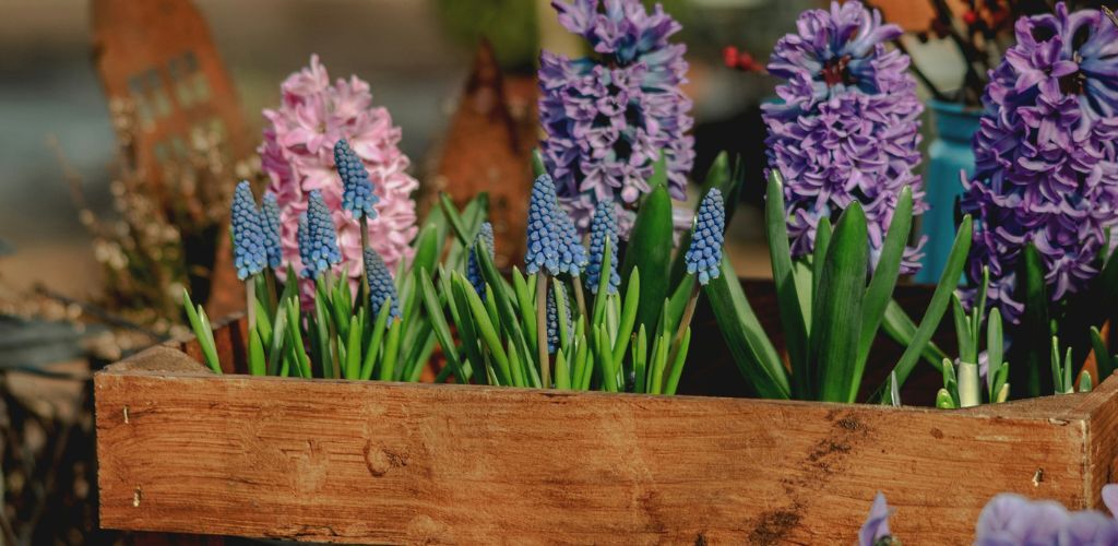 Seasonal-flowers.jpg