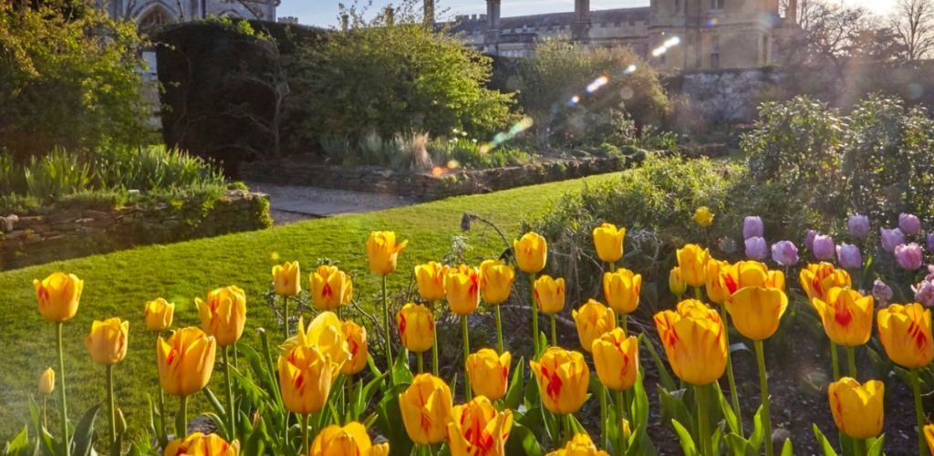 Sudeley-castle-gardens.jpg
