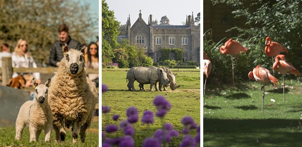 Wildlife-parks-animal-encounters.jp