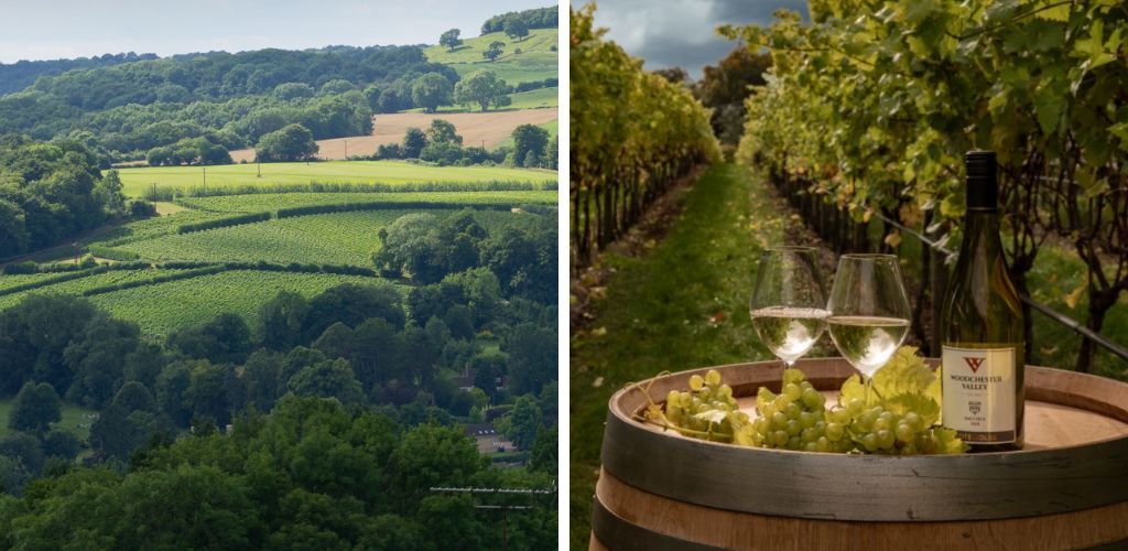 woodchester.jpg